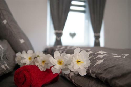 Apartamento Haus Ren�