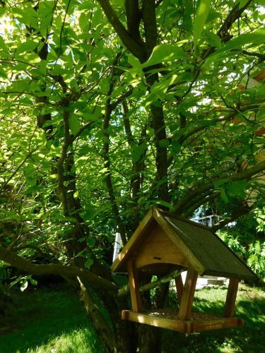 Four Seasons Apartment "green Paradise"