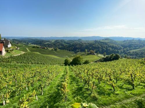 Wein Kultur Apartment Flavia Solva