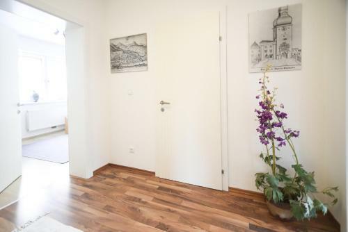 Apartments Zum Ybbsturm