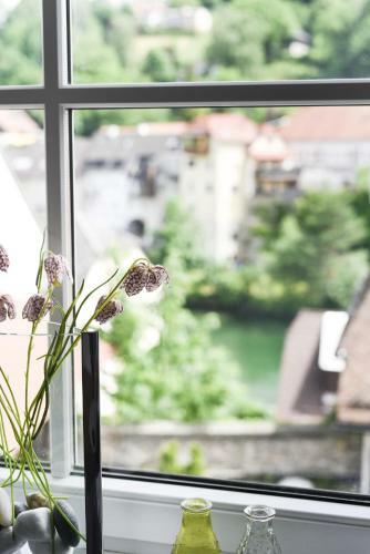 Apartments Zum Ybbsturm
