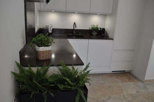Apartamento Ferienwohnung Binder Hubertusstra�e