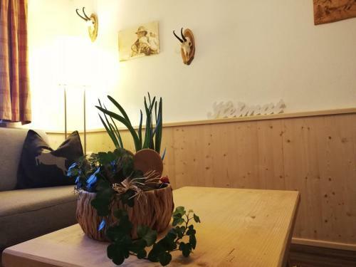 Apartamento Much`s Bergst�berl