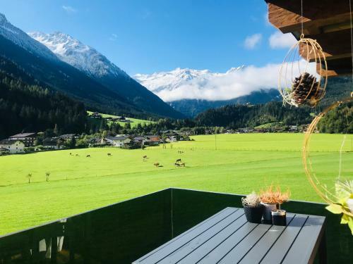 Apartment Weitblick