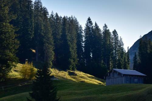 Apartamento Appartement Seebachsee