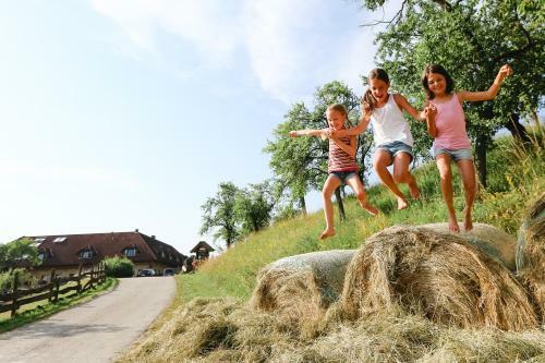 Agroturismo Dorferhof