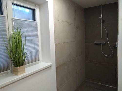 Apartamento M4 Appartements
