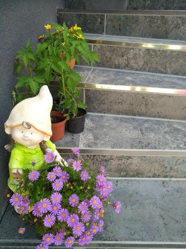 Apartamento M4 Appartements