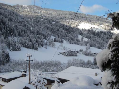 Apartamento Gondelblick