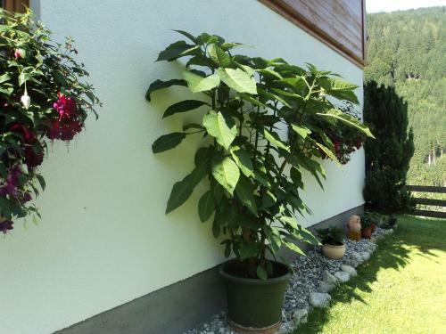 Apartamento Gondelblick