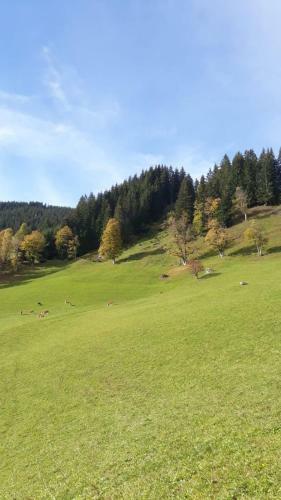 Apartamento Obersteffengut