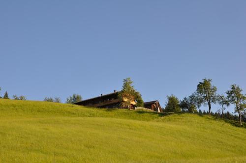 Das "zwislegggut"