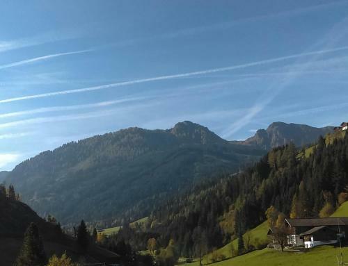 Apartamento Appartement Deisl