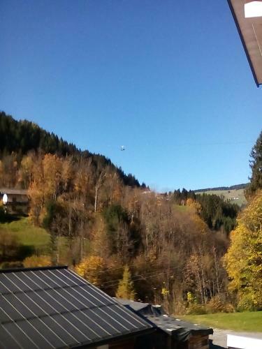 Apartamento Appartement Deisl