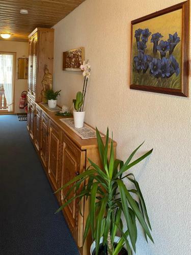 Apartamento Landhaus Alpenblick