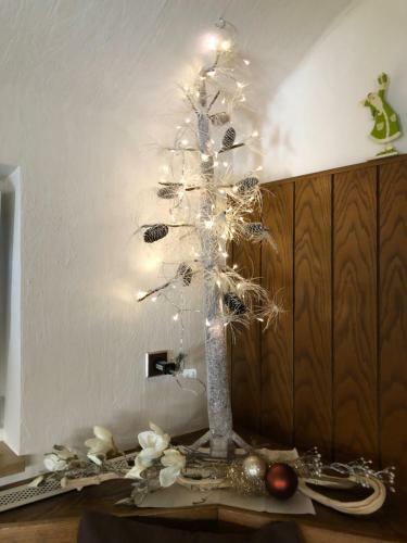 Apartamento Ferienwohnung Danzl