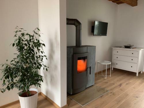 Apartamento Urlaub Im Weingarten