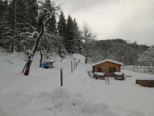 Apartamento Landhaus Ziegelstadel