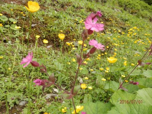 Hostal Pension Sporer