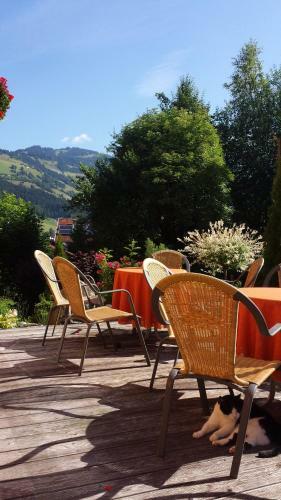 Hostal Pension Sporer