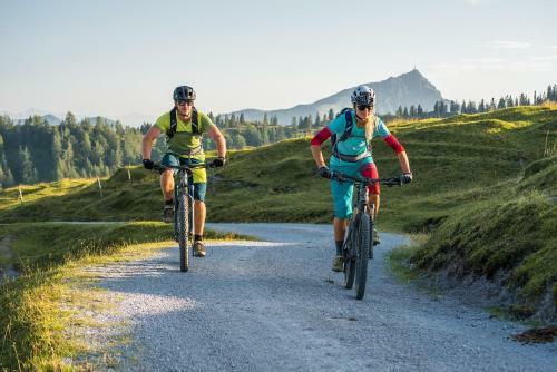 Apartamento Chalet Tirol
