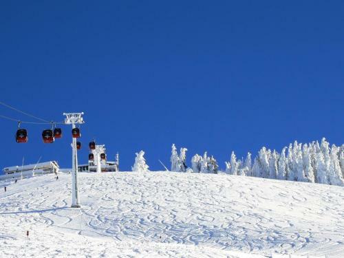 Apartments Chalet 149, Westendorf