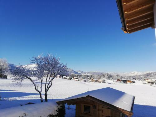 Apartamento Appartement Holaus