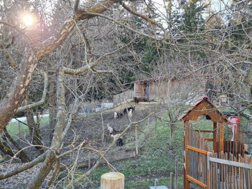Ferienhaus Grabenhansl