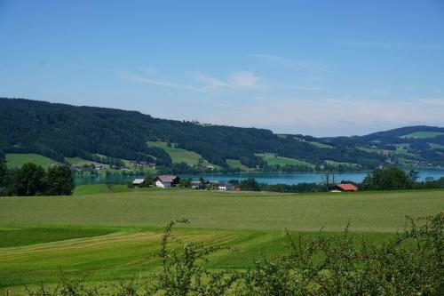 Apartamento Ferienwohnung Hausleitner