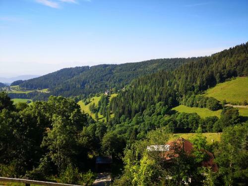 Apartamento Simonh�he Appartment With Swimmingpool