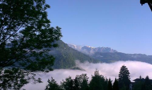 Apartamento Landhaus Gruber Sommer