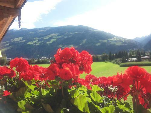 Apartamento Haus Zillertal