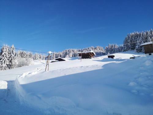 Apartamento Appartement Franz
