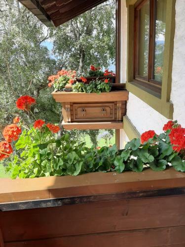 Apartamento Birkenhof