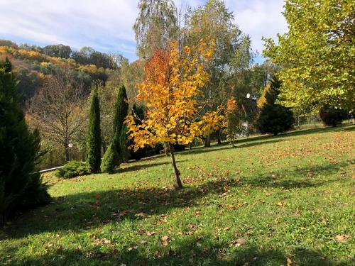 Luxusvilla 46 Waldsee