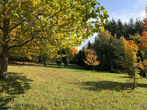 Luxusvilla 46 Waldsee
