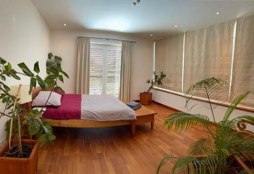 Luxusvilla 46 Waldsee
