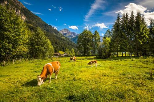 Agroturismo Unterrainhof