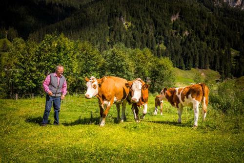 Agroturismo Unterrainhof