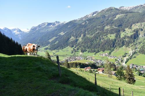 Apartamento Vorderstuhlhof