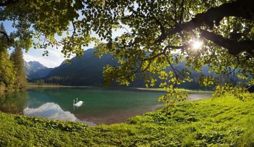 Apartamento Appartements H�ller