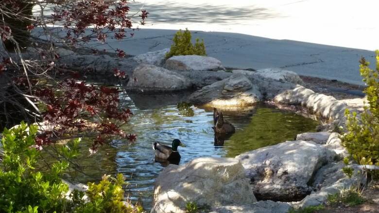 Apartamentos North Bay At Lake Arrowhead