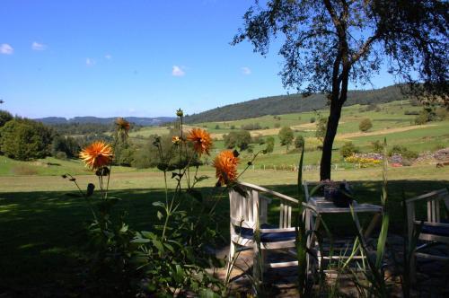 Bed & Breakfast Le Grand Trianon