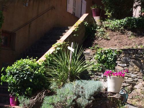 B&B Lei Bancaou
