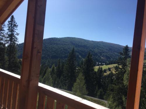 Holzknechth�tte