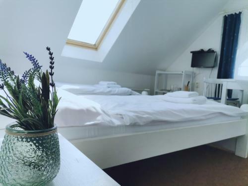 Hostal Penzion Pod Kostel�?kem