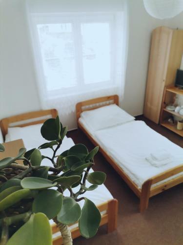Hostal Penzion Pod Kostel�?kem