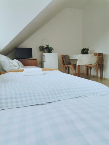 Hostal Penzion Pod Kostel�?kem