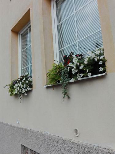 Hostal Penzion Pod Kostel�?kem