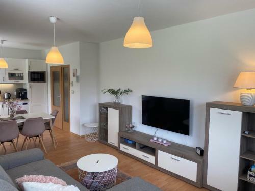 Apartm�n Lu?nice T?ebo?